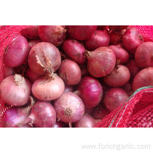 New crop Red onion